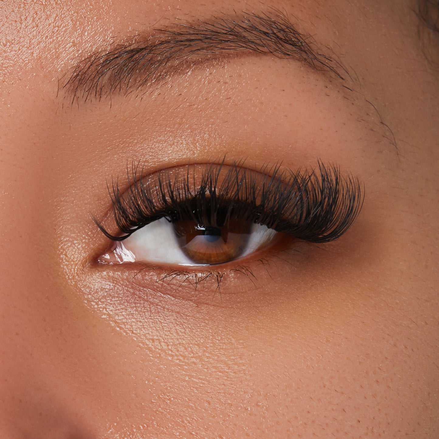 Falscara Wisps Extra Drama